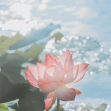 小财迷