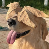 下次一定