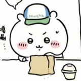 热心抹茶三分糖