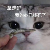 江湖煸子