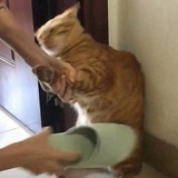 你以为你是谁