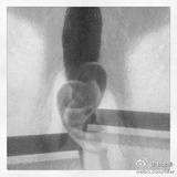 叫我树先生