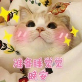 喵了个咪