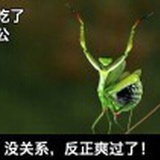 不会游泳的鱼
