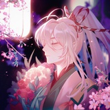 飞光