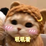 王可可