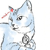 玻璃猹子
