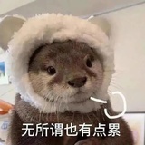 磨砂