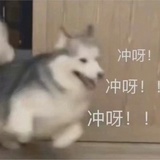 十六