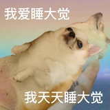 关山难越