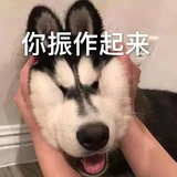 小绷带