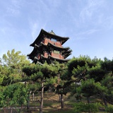 小马子