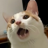 Voumz