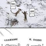 鹤衣峰雪