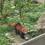 绿森林局部有雨