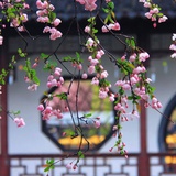 天涯六比零