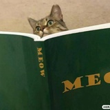 RRRrrrm