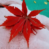€时光非礼了梦想