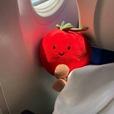 超强西红柿🍅