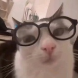 南南南🐱