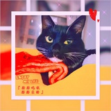 大师法号小清新
