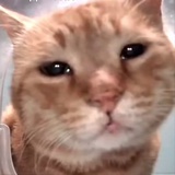 xxxxxx