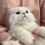 夜夜夜夜