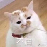 十三333～