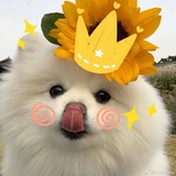 麦兜响当当