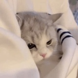 赚钱养家
