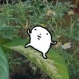 小河