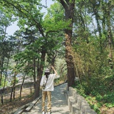 持久木馨