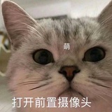 棉花糖糖