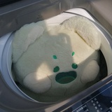 兔兔猫