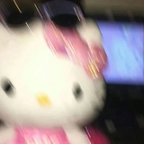 白菜没有心