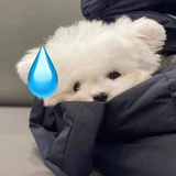 啦啦啦啦啦