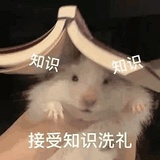 爱学习的幽灵👻