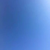 假公子