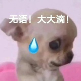 黄昏好风景