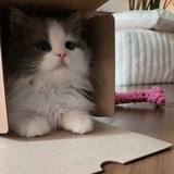 你还在这里