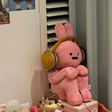 爽如哀梨