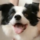 一二