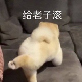 干我屁事