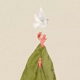 李晓纯