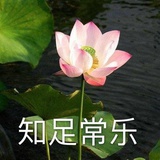 小奎花妈妈课堂