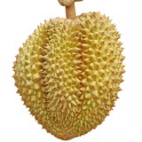 各管各