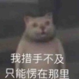 蛤蟆花