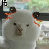 MO驼