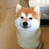 修勾勾真可爱