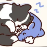 每天迟到
